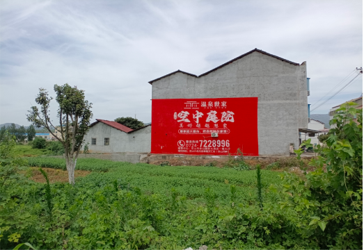 沙洋做墙体广告的意义