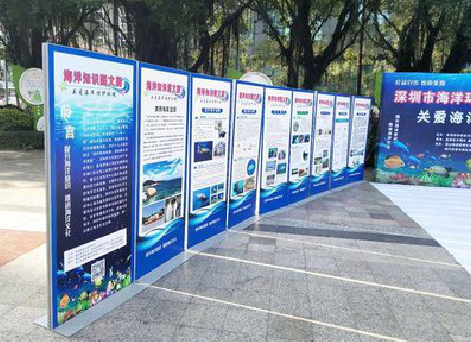 沙洋KT板的种类和知识。